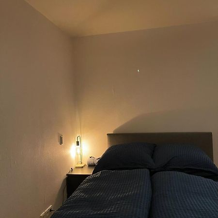 Blick Auf Den Weinberg - Apartment Mit Balkon 特里尔 外观 照片