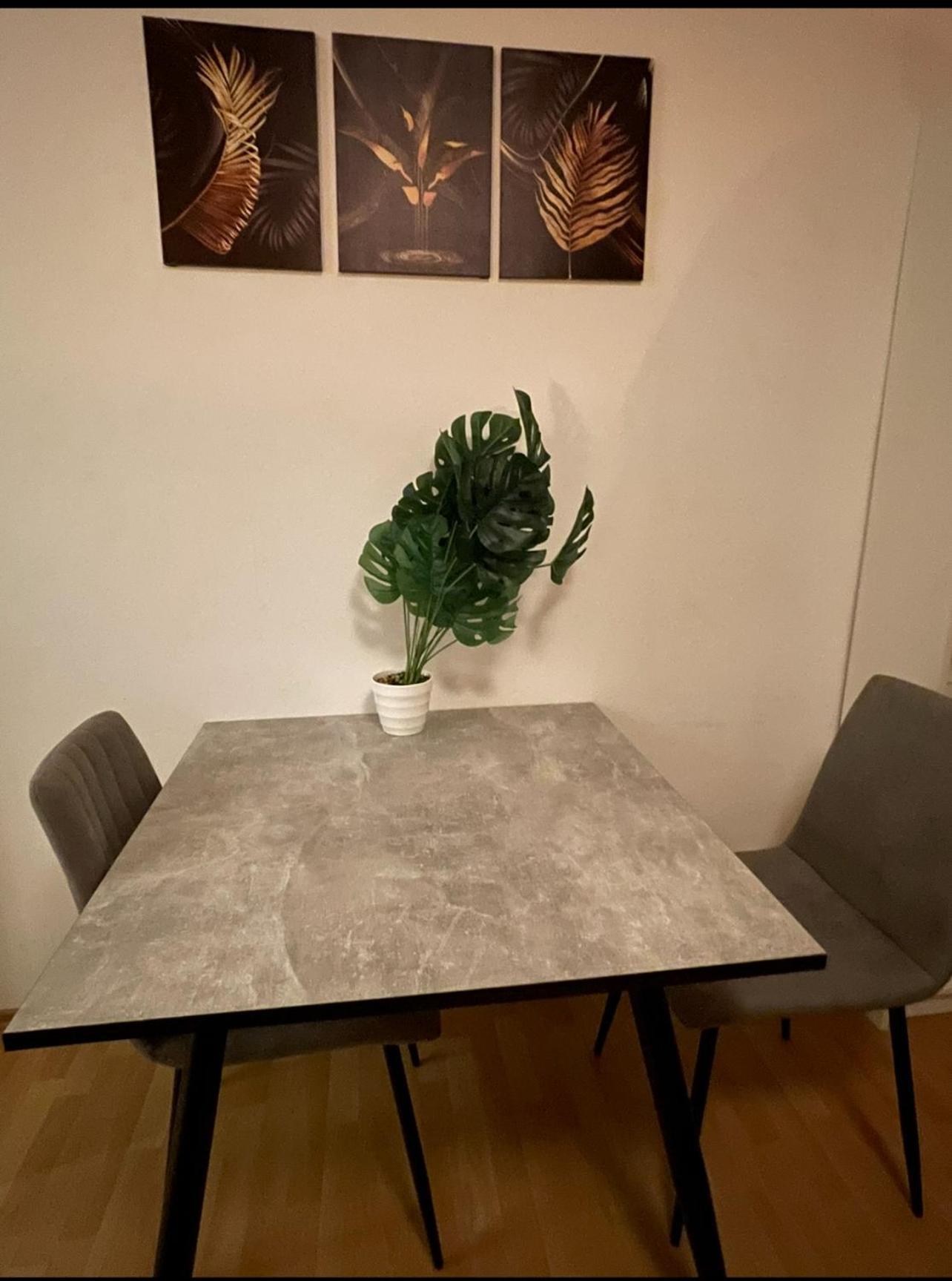 Blick Auf Den Weinberg - Apartment Mit Balkon 特里尔 外观 照片